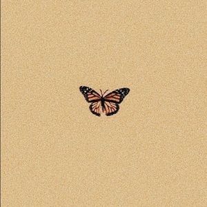 Meet your Posher, Tawnya